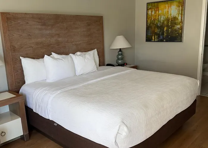 Quality Inn & Suites By The Parks